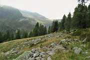 77 Per traccia di sentiero a dx a riprendere il sent. 101 di rientro alla Baita del Camoscio